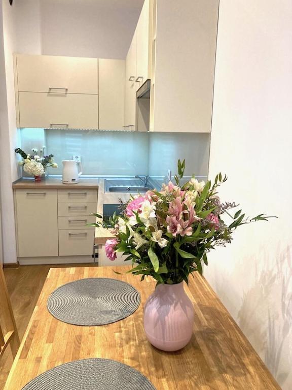 Apartment Novum Rakowicka Street Краков Экстерьер фото